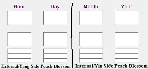 dividing the external and internal side of the BaZi chart according to Peach Blossom
