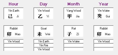 Brad Pitt BaZi chart